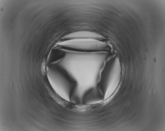 X0000085020190200703261230