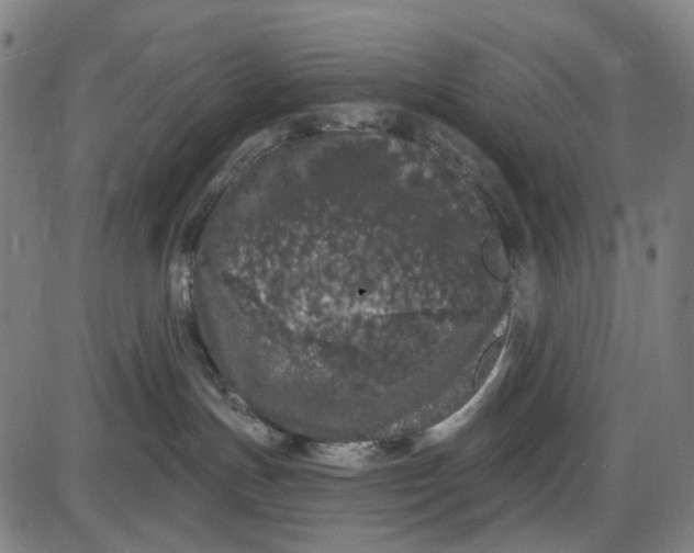 X0000085020191200703261230