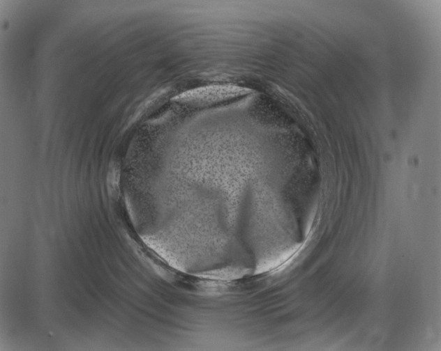 X0000085020192200703261230