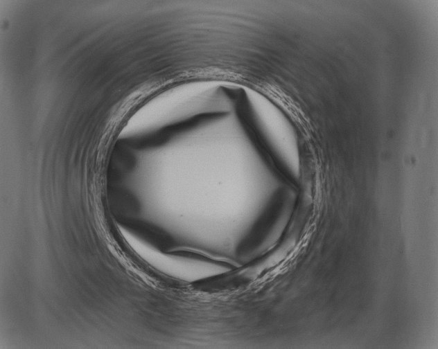 X0000085020193200703261229