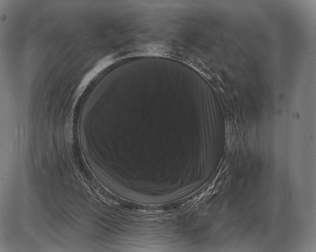 X0000085020200200703261229