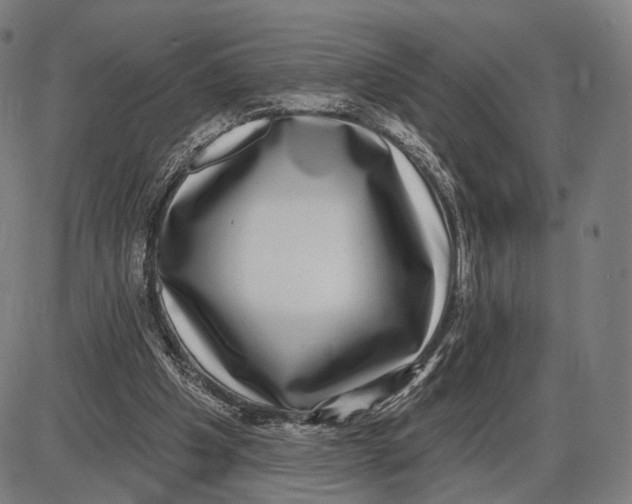 X0000085020201200703261229