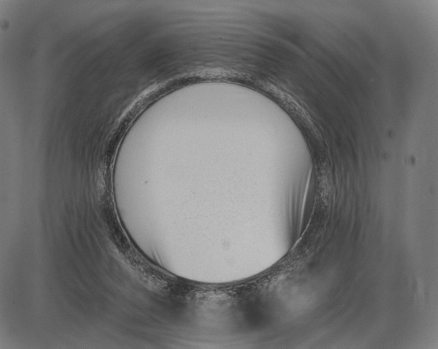 X0000085020208200703261229