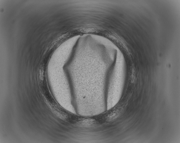 X0000085020210200703261229