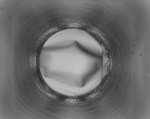 X0000085020211200703261229