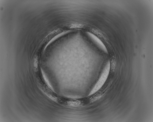 X0000085020215200703261229