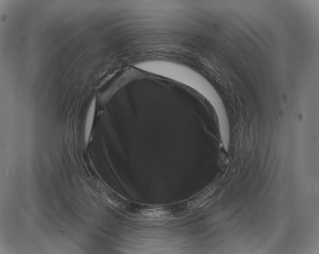 X0000085020219200703261229