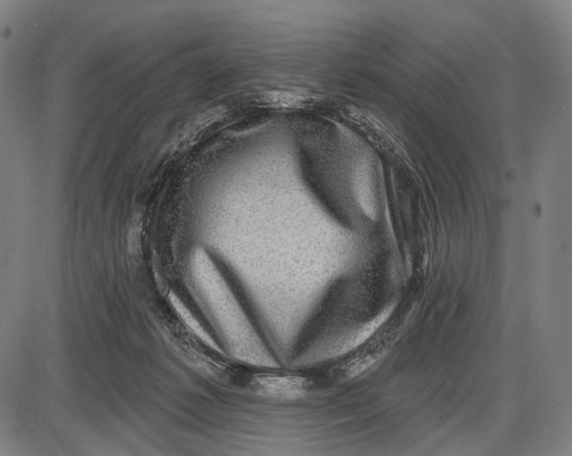 X0000085020221200703261229
