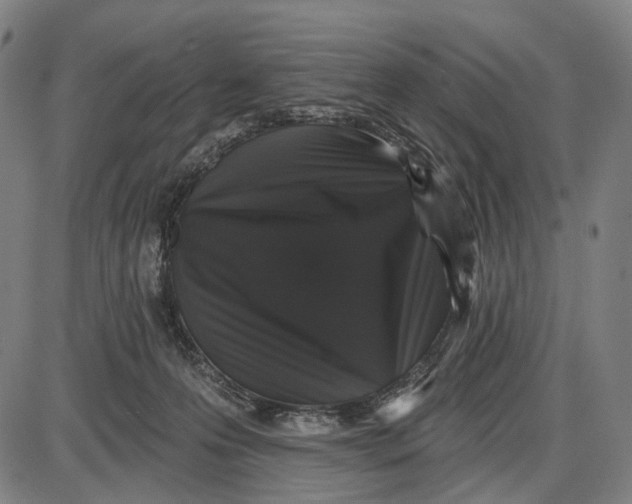 X0000085020223200703261229