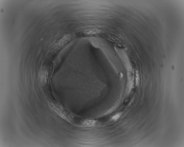 X0000085020227200703261229