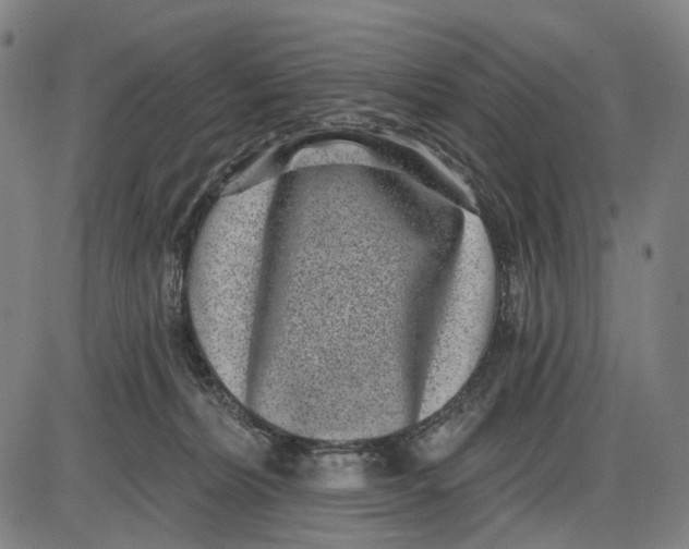 X0000085020228200703261229