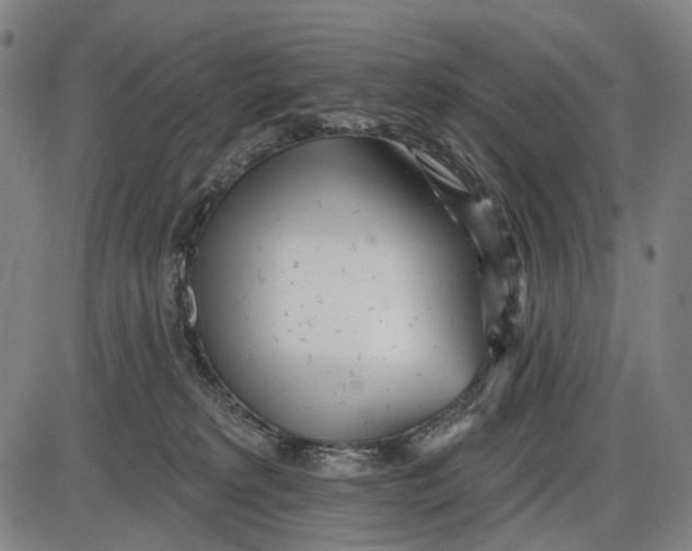 X0000085020229200703261229