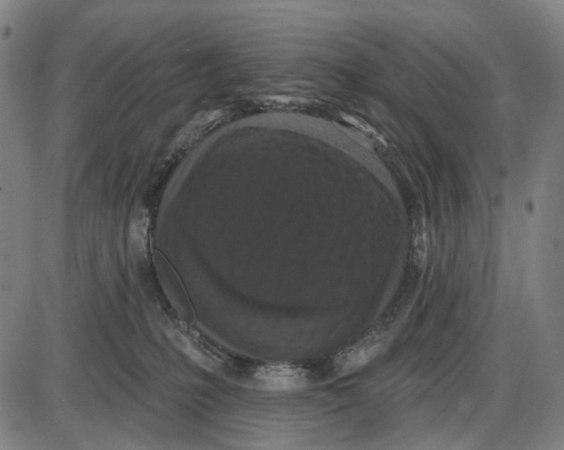 X0000085020231200703261229