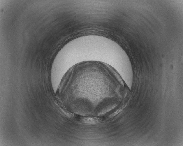 X0000085020239200703261228