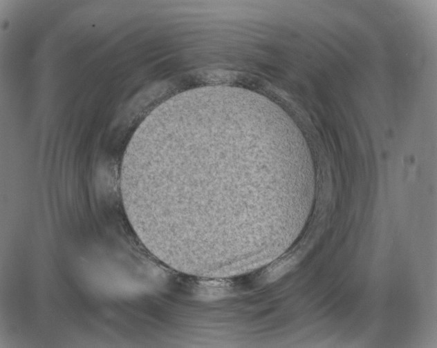 X0000085020240200703261228