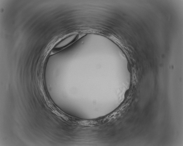 X0000085020241200703261228