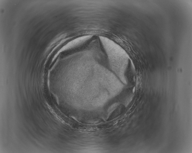 X0000085020243200703261228