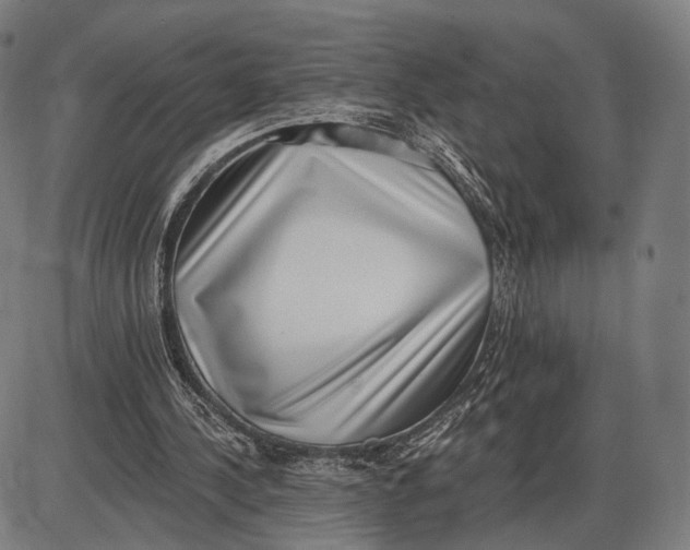 X0000085020244200703261228