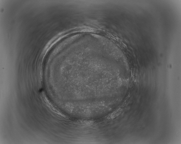 X0000085020247200703261228