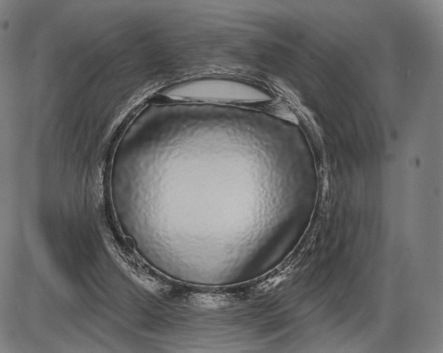 X0000085020250200703261228
