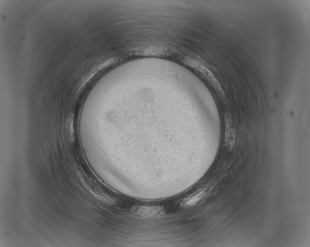 X0000085020251200703261228