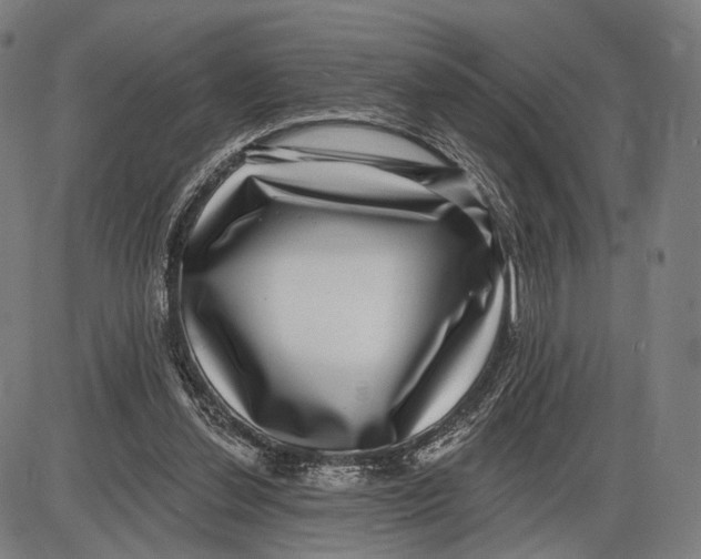 X0000085020252200703261228