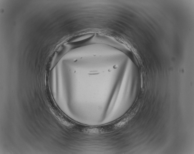 X0000085020253200703261228