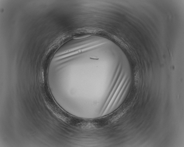 X0000085020254200703261228