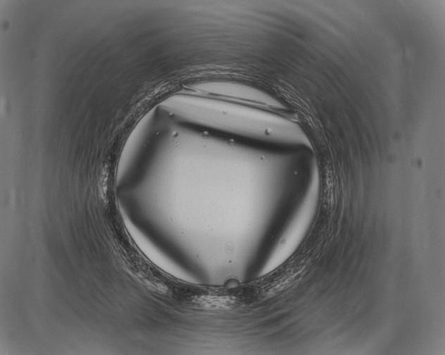 X0000085020255200703261228