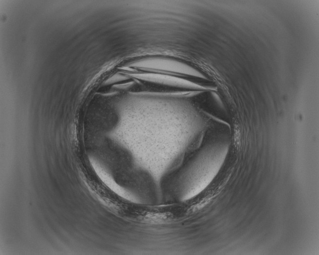 X0000085020256200703261228