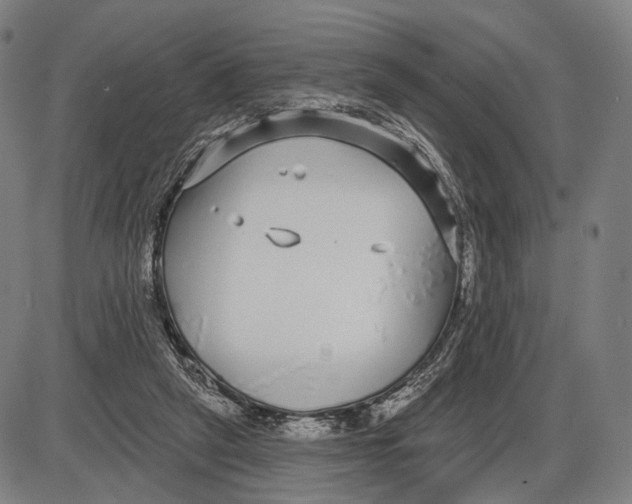 X0000085020257200703261228