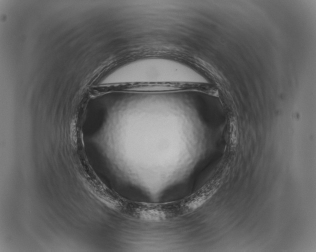 X0000085020258200703261228