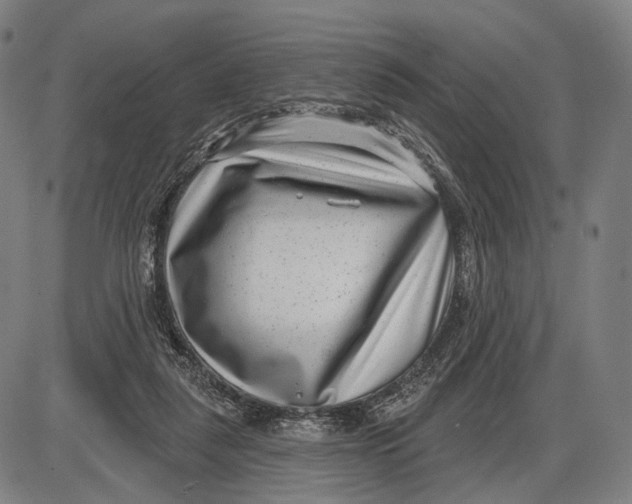 X0000085020259200703261228