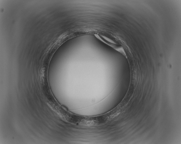 X0000085020260200703261228