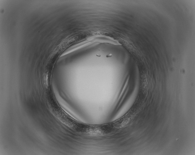 X0000085020262200703261228
