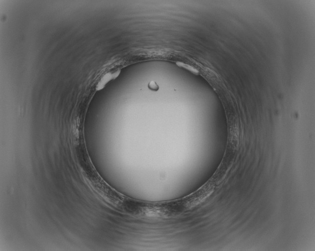 X0000085020264200703261228