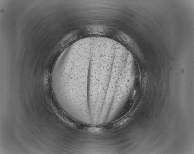 X0000085020265200703261228