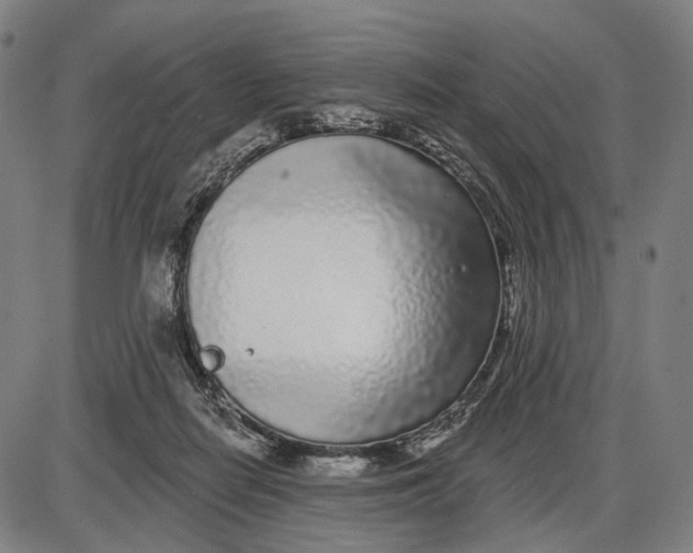 X0000085020266200703261228