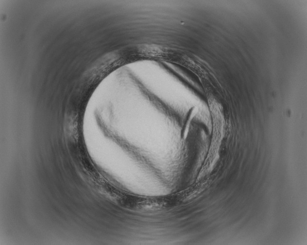 X0000085020267200703261228