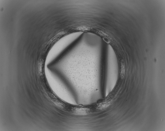 X0000085020268200703261228