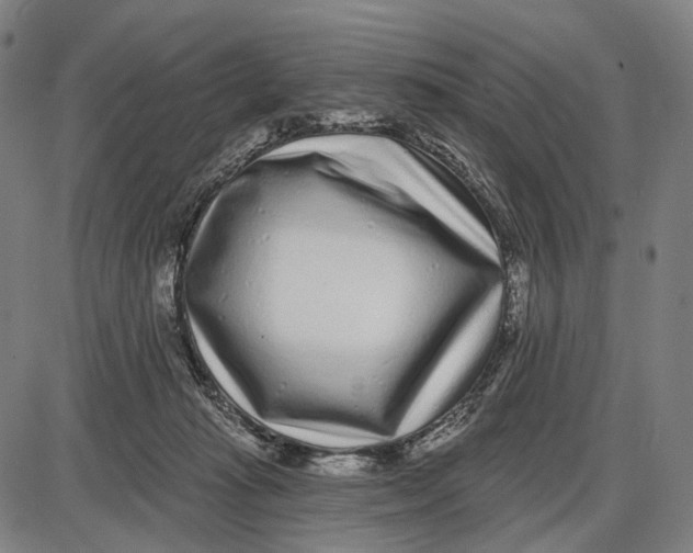 X0000085020269200703261228