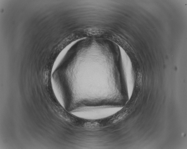 X0000085020271200703261228