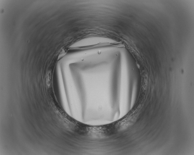 X0000085020273200703261228