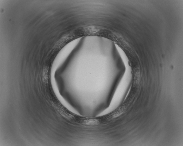 X0000085020274200703261228