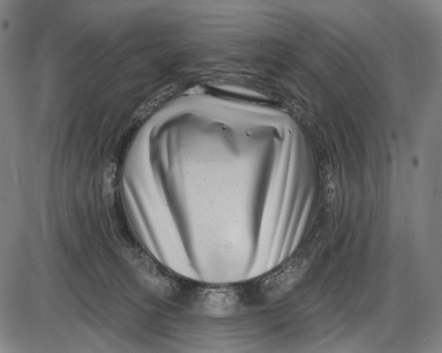 X0000085020275200703261228