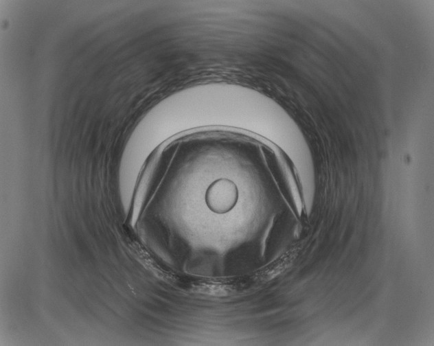 X0000085020276200703261228