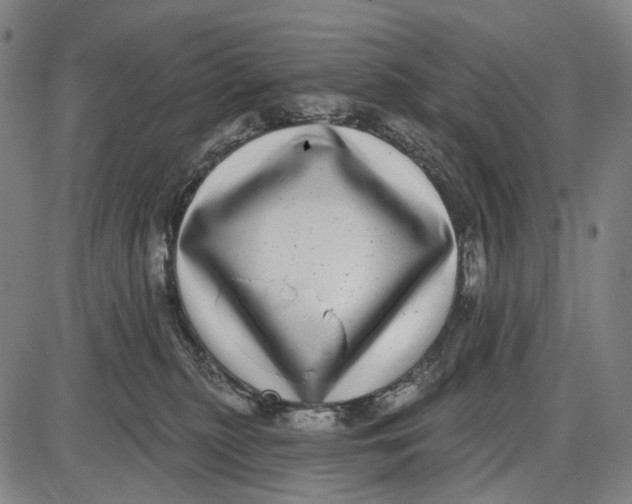 X0000085020279200703261228