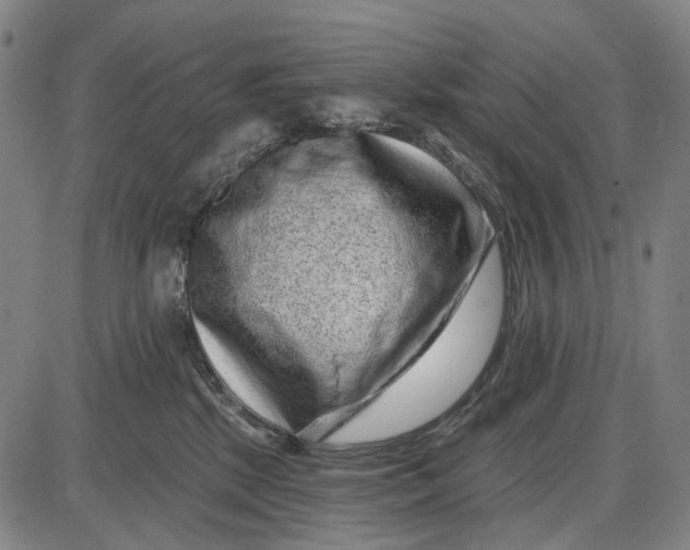 X0000085020281200703261228