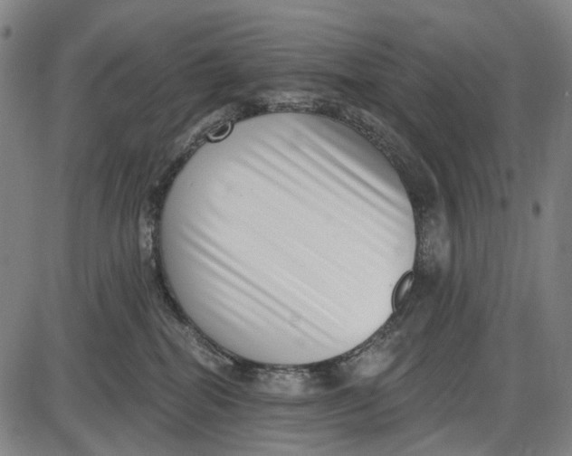 X0000085020282200703261228