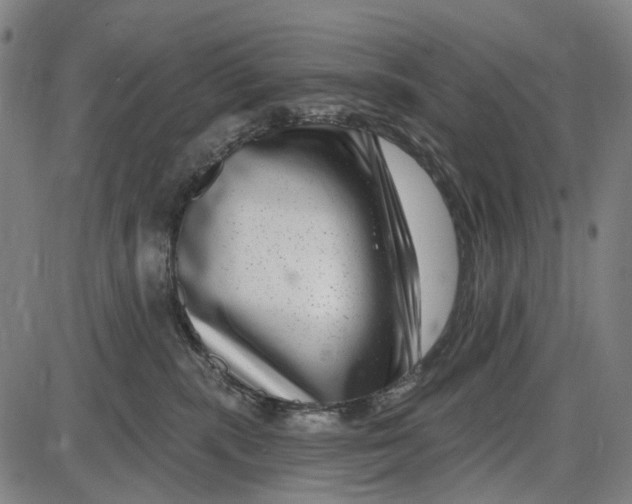 X0000085020283200703261228